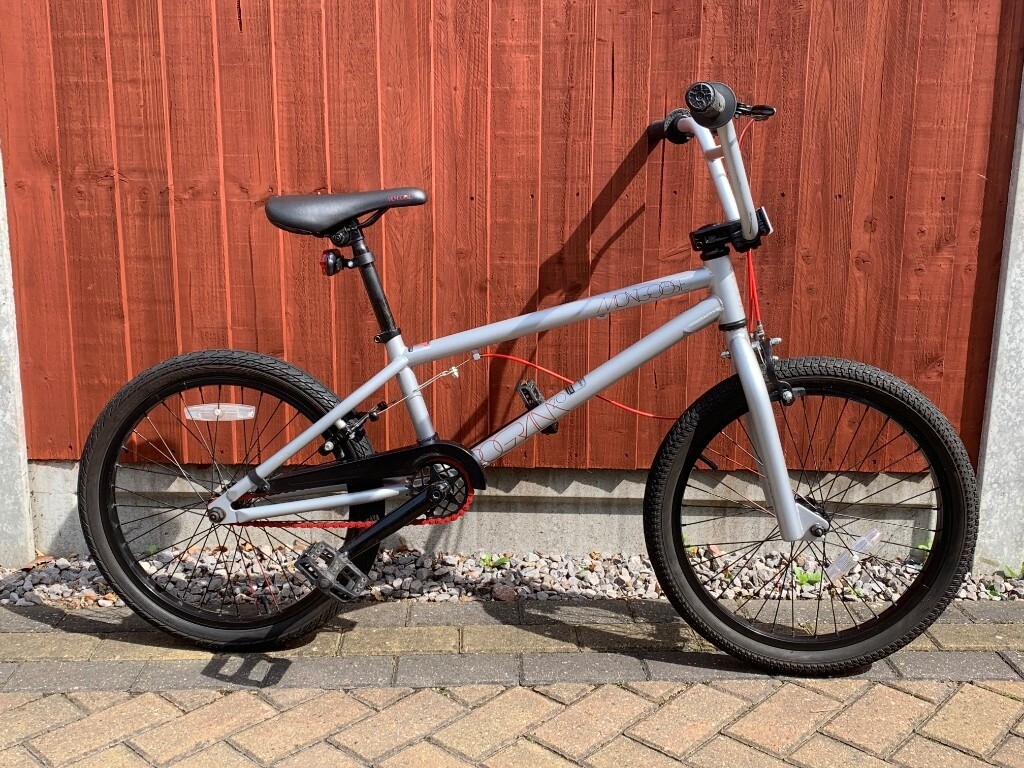 mongoose program 20